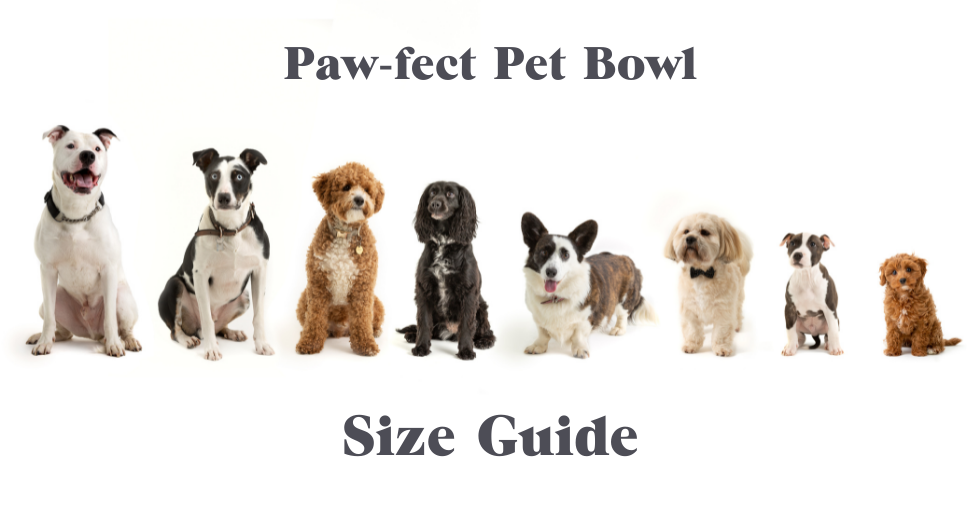 The pawfect bowl for your furry friend!