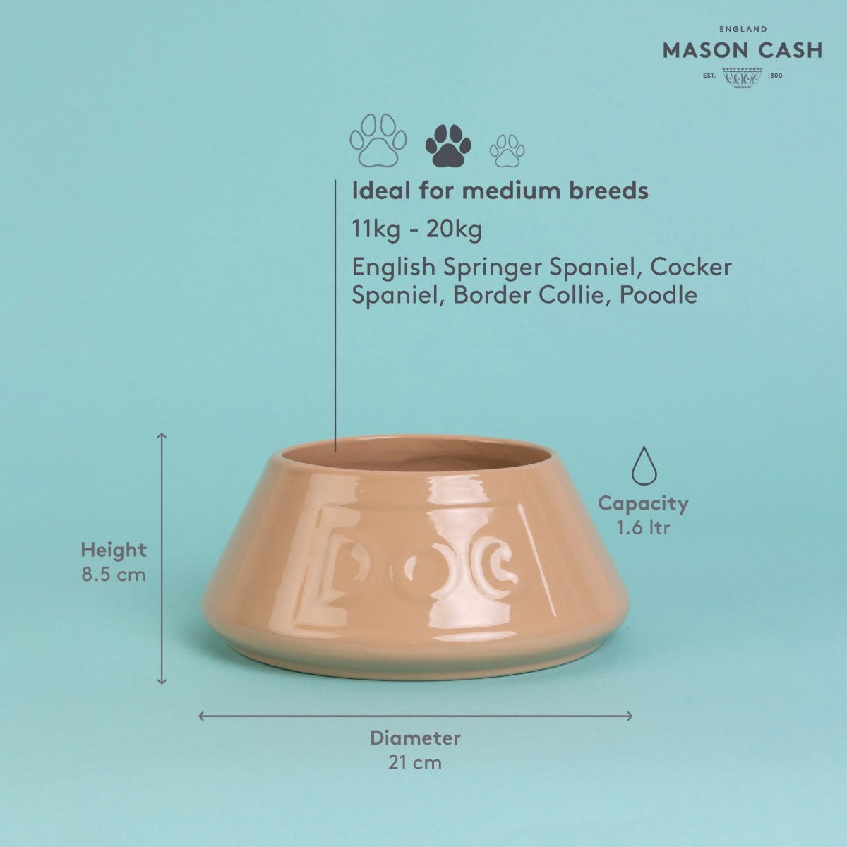 Mason cash top spaniel bowl