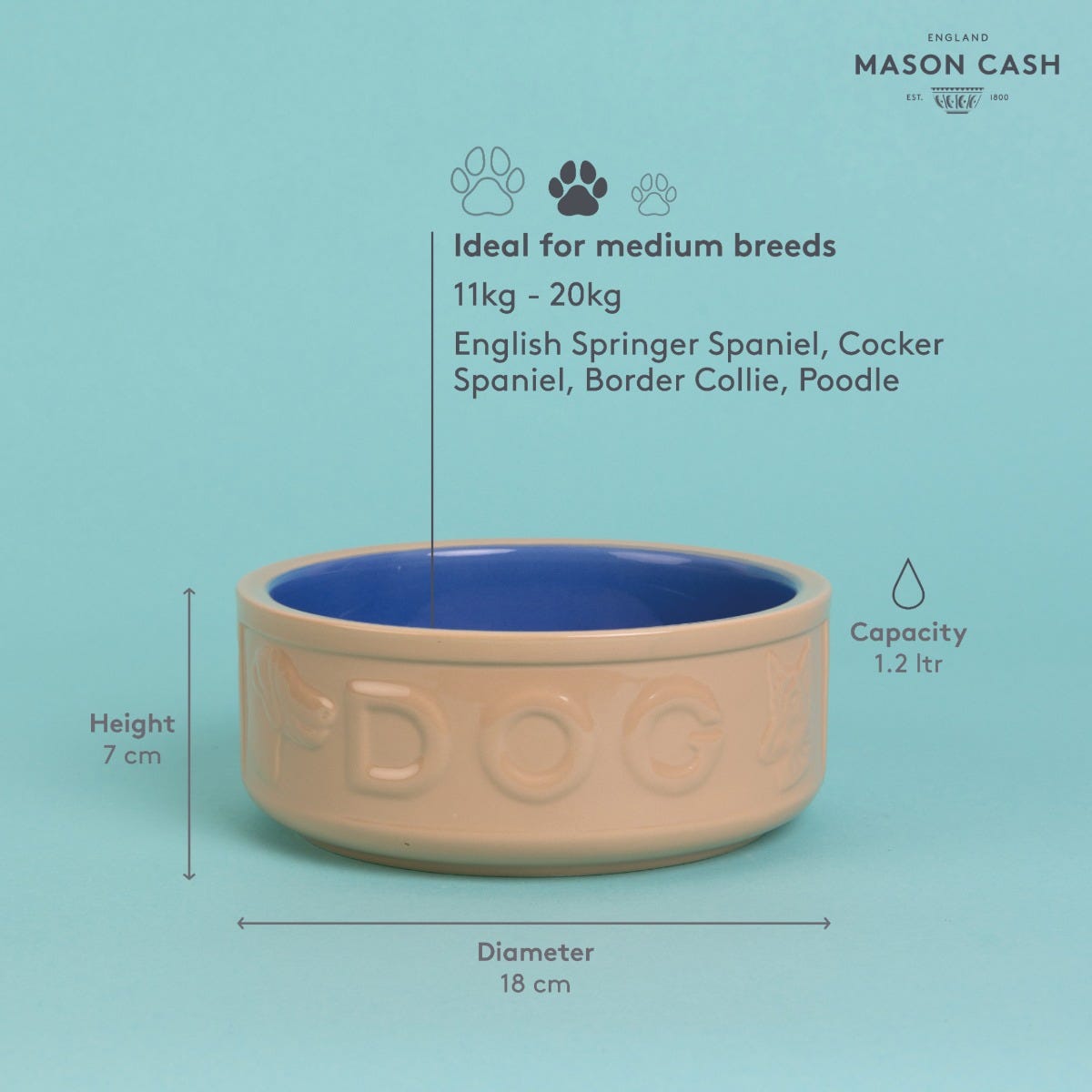 Mason cash top dog bowl large