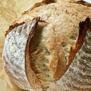 Elaine Boddy's Master Sourdough
